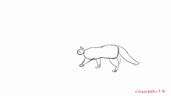Chamberly_ Animation Sketch
